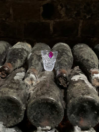 Die Jagd nach den Horkruxen