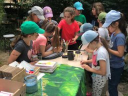 2024 &raquo; Ferienaktionen 2024